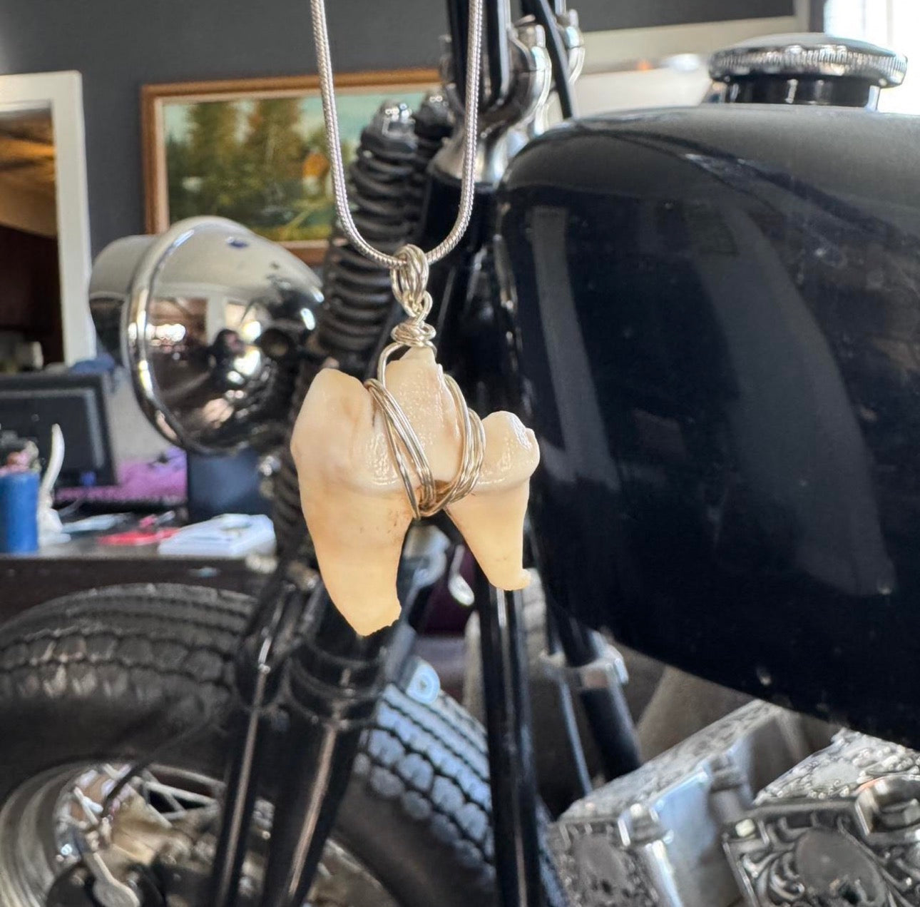 Coyote Molar Necklace