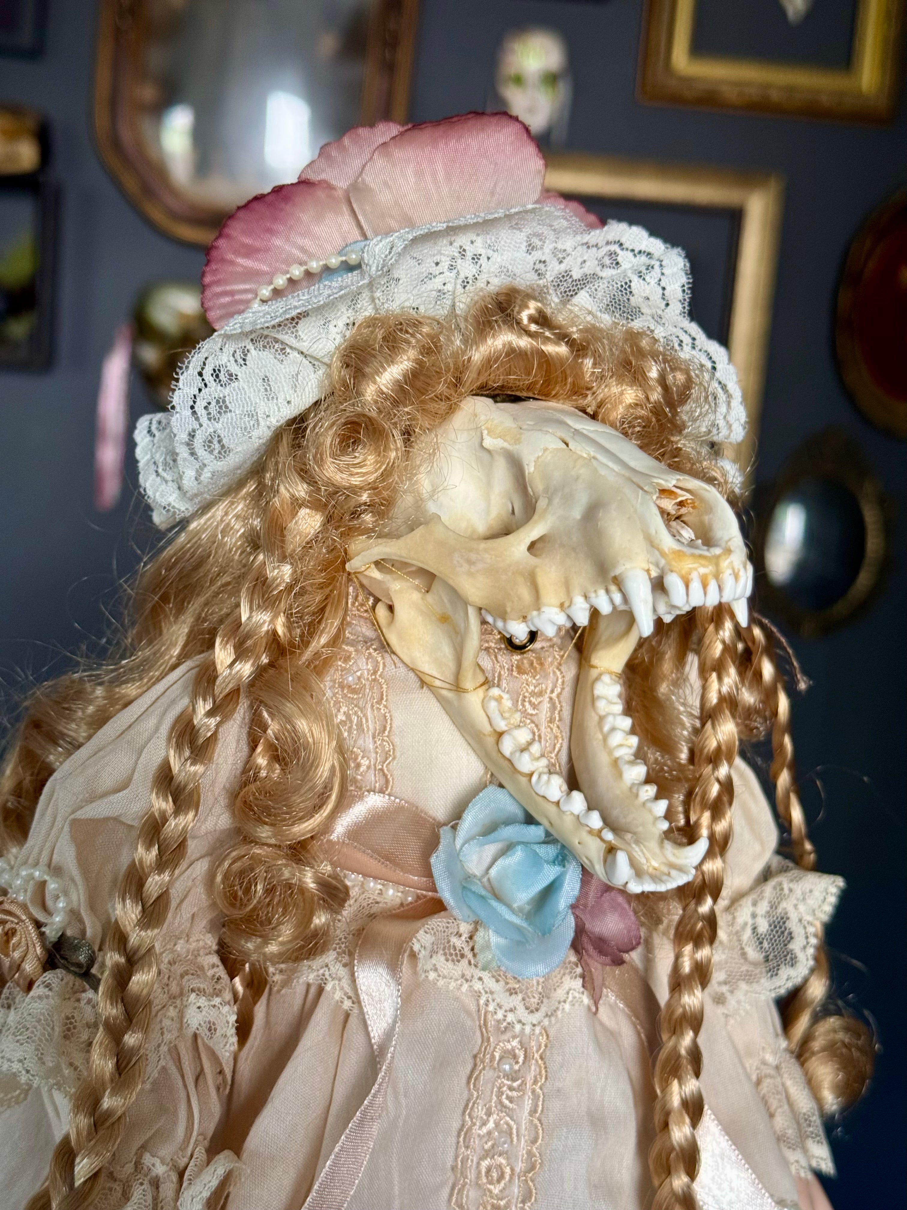 Raccoon Skull Victorian Doll