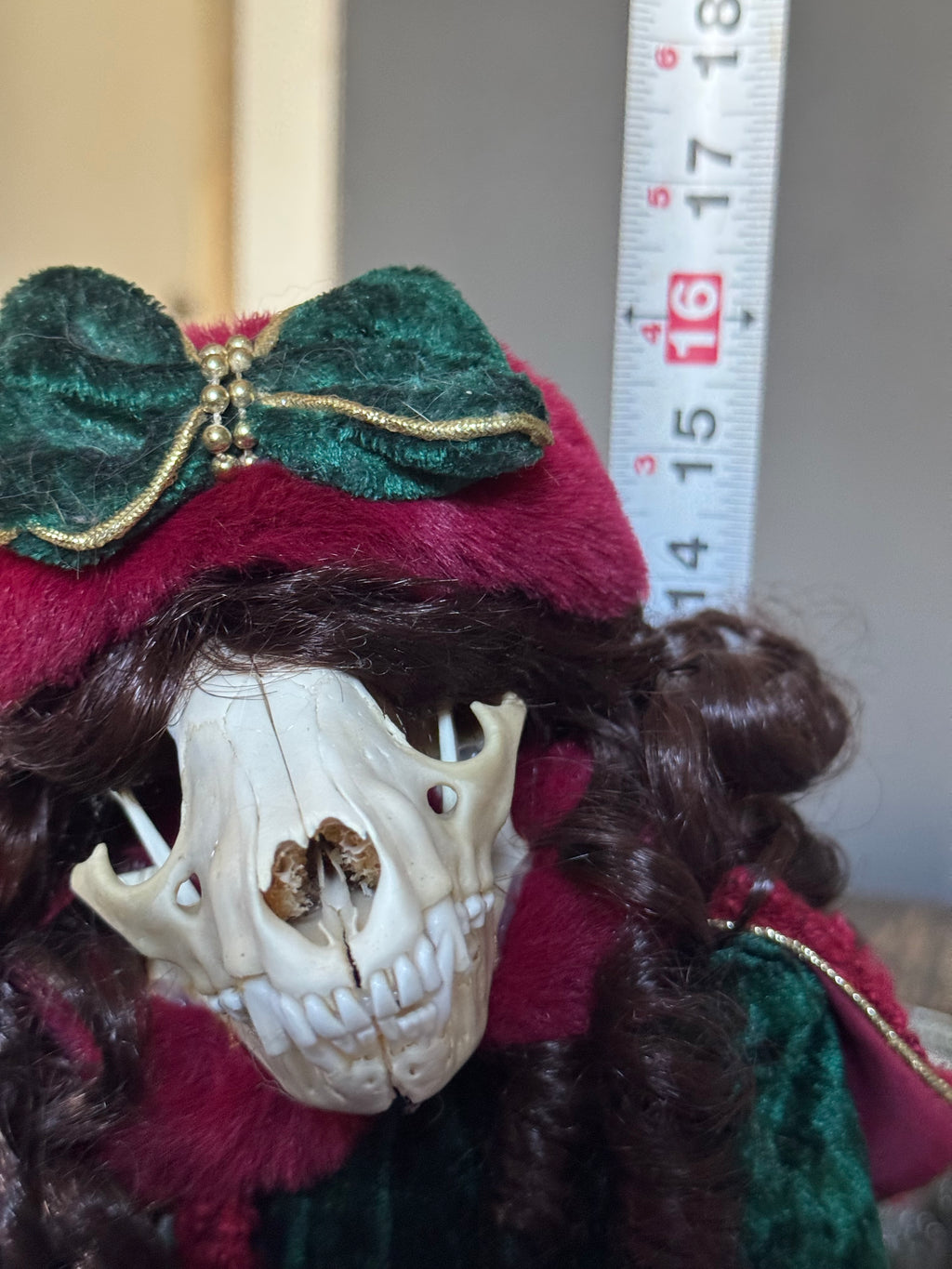 Raccoon Skull Porcelain Doll