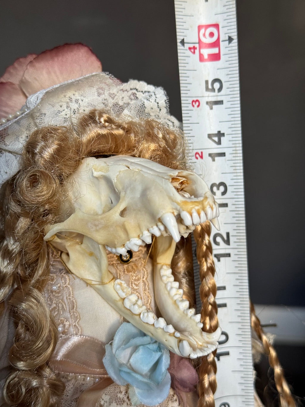 Raccoon Skull Victorian Doll