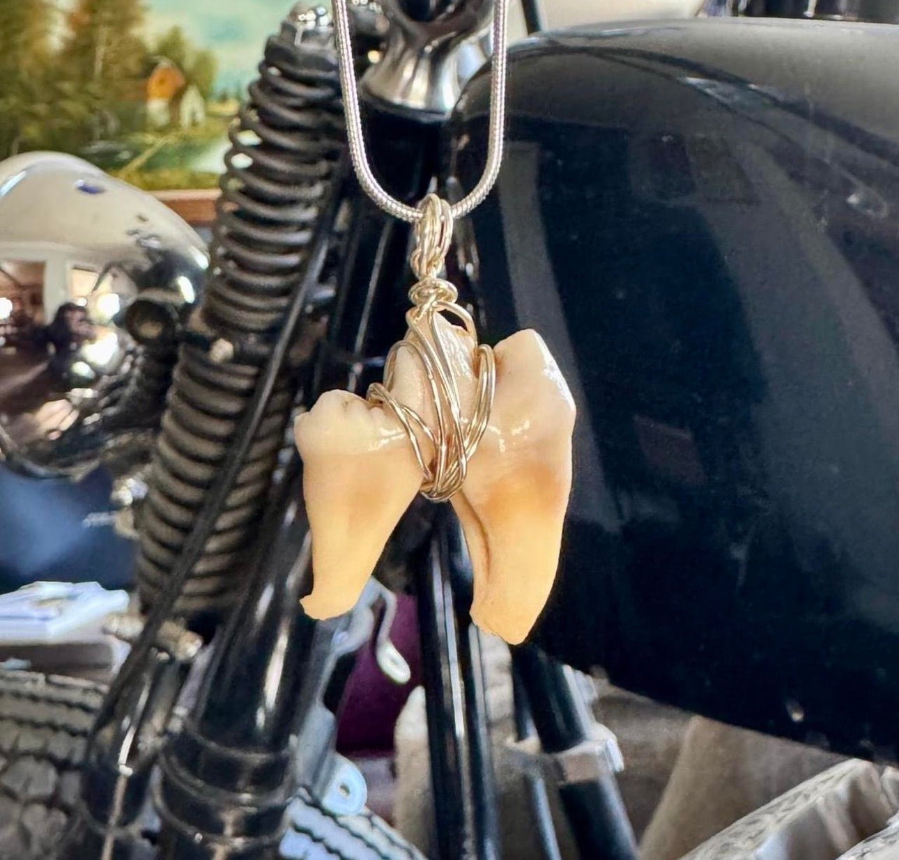 Coyote Molar Necklace